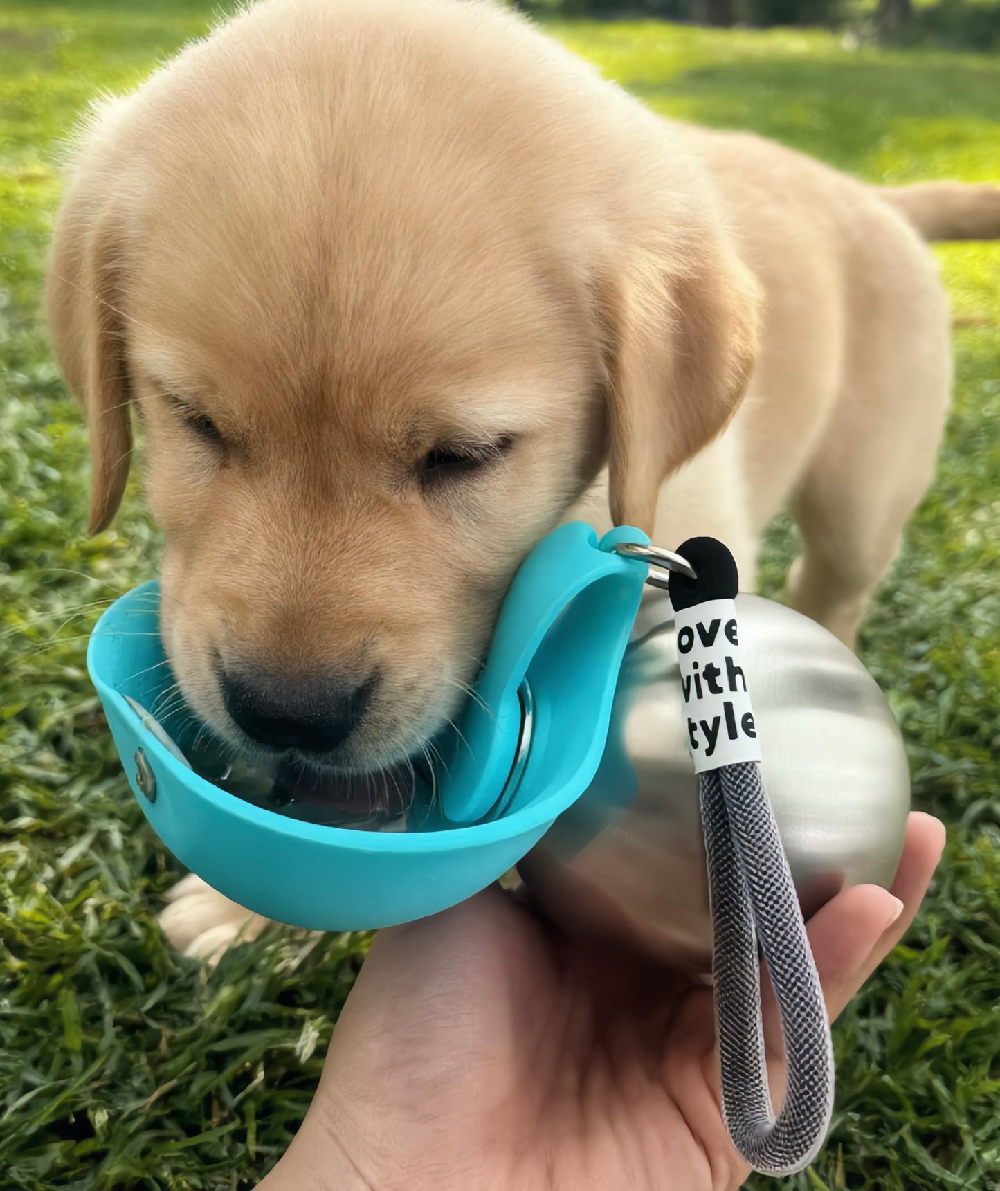 Stainless Steel Portable Pet Travel Bowl Outdoor Dog